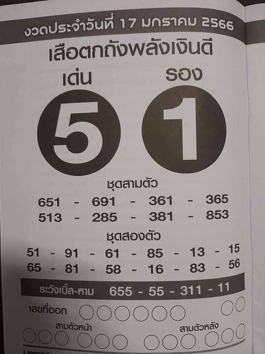  เสือตกถังพลังเงินดี65