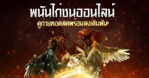  เทปบันทึก ไก่ชน ล่าสุด