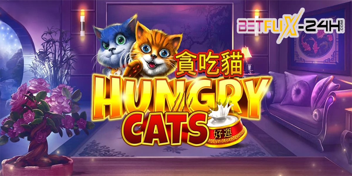 Hungry Cats