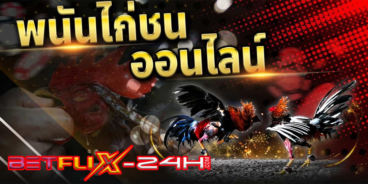 เกมไก่ชน-"game"